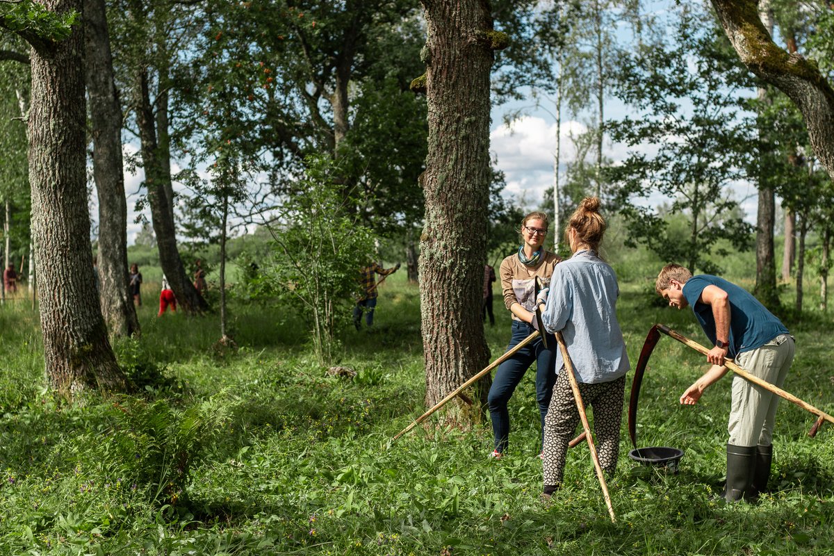 EestimaaLooduseFond tweet media