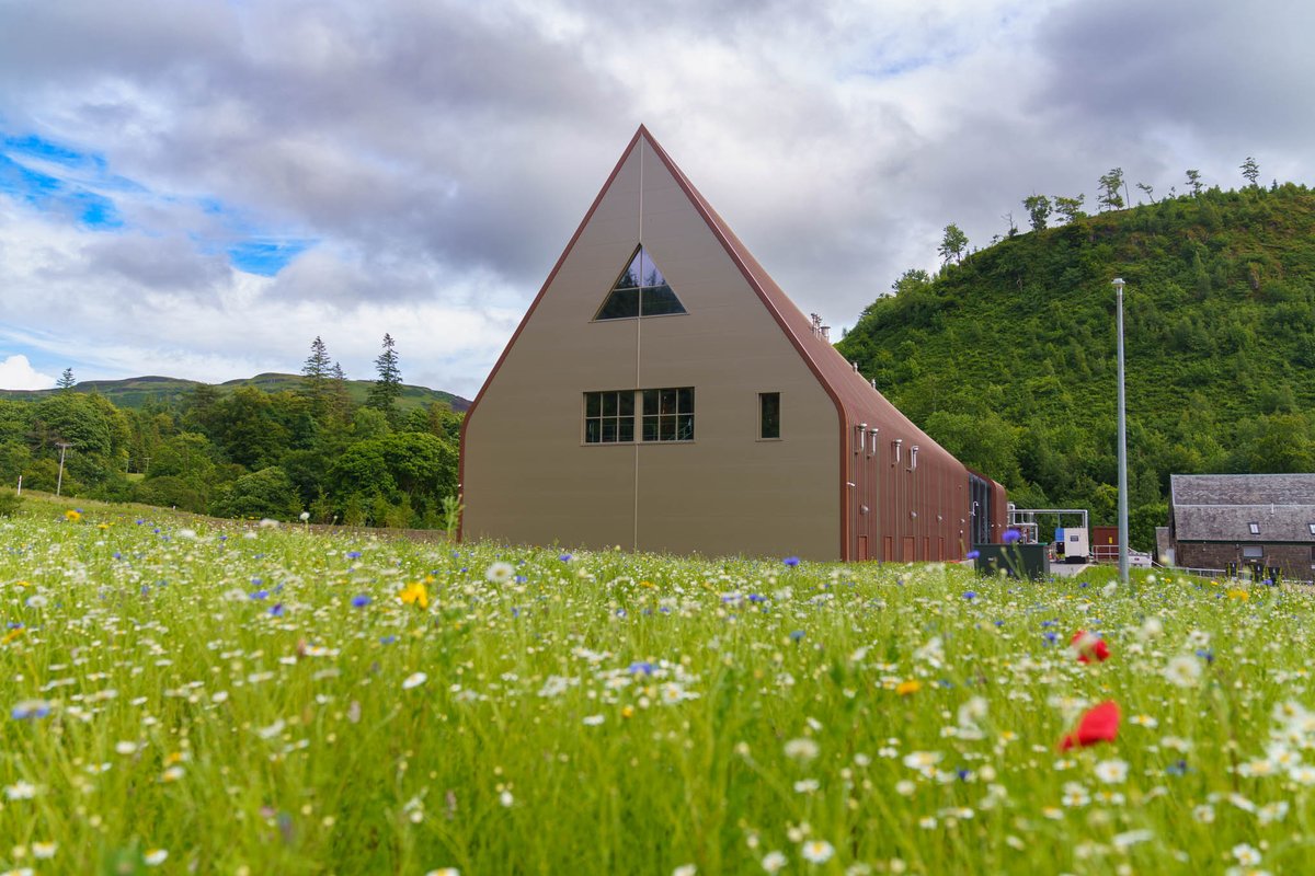 ArdgowanWhisky's tweet photo. Opening Day - Only 2 days to go! The distillery is on a former farm - the ground is rough -  please wear sensible shoes 👟. It looks like it will be hot - wear sunscreen and maybe bring a 🧢.
#newdistillery #Ardgowan #sensibleshoes #sunscreen https://t.co/1PJwCWGFyO