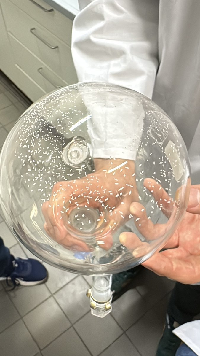 Aquí está!! Una sal de un gas noble 🥹

Difluoruro de Xenon