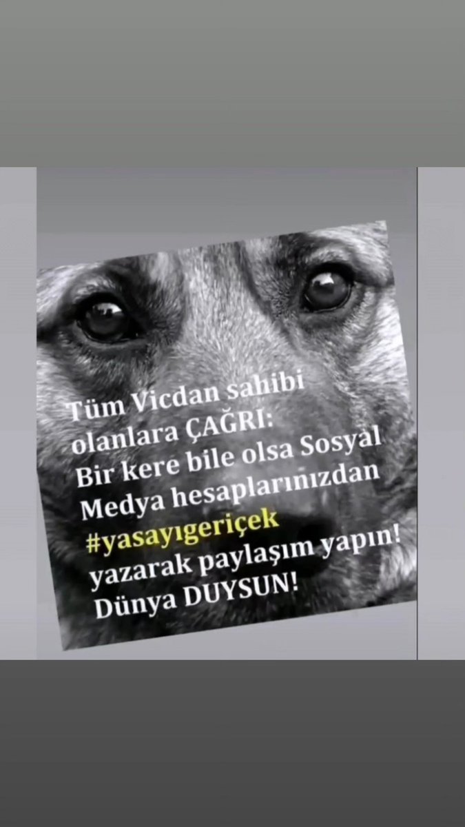 #yasayıgeriçek