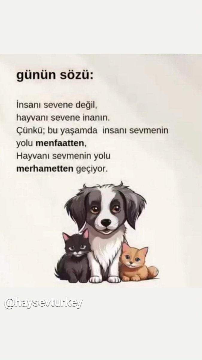 Pati Aşkı Browni🐾🐾 (@meral_levent) on Twitter photo 