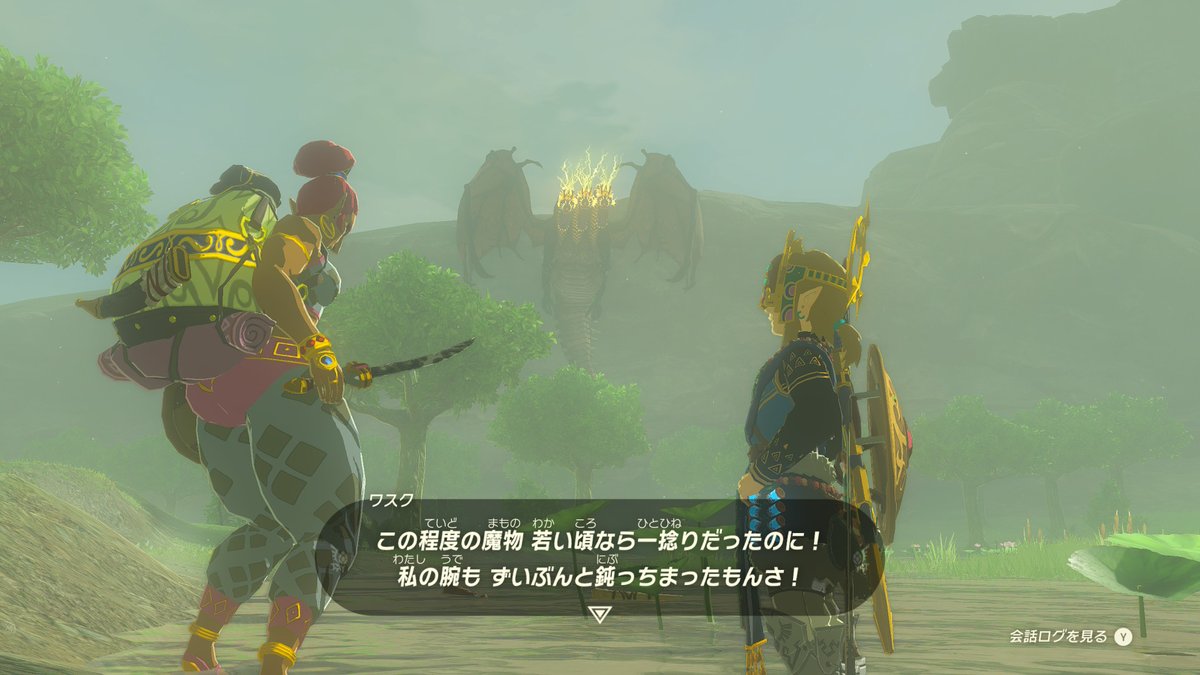 隠れ強キャラ　#NintendoSwitch2 #ゼルダの伝説 #TearsOfTheKingdom #Zelda