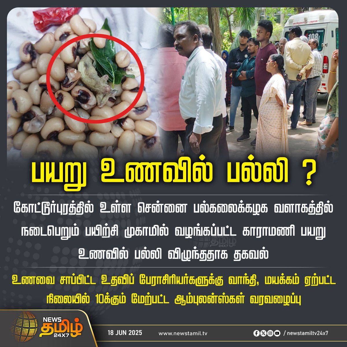 NewsTamilTV24x7's tweet image. #NewsUpdate | பயறு உணவில் பல்லி ?

#Chennai #annauniversity #Camp #professors #NewsTamil #TamilNews #NewsTamil24x7