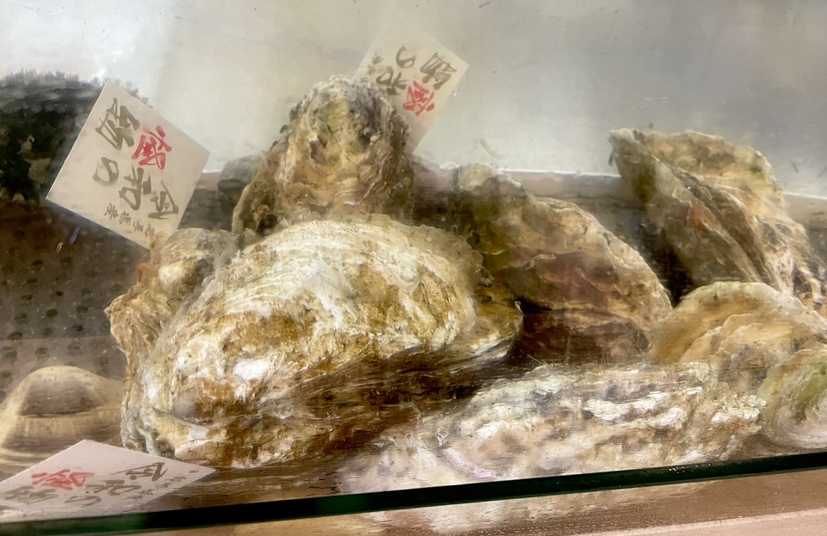 okinahonke's tweet photo. 🦪令和の怪物🦪入庫!!
牡蠣の養殖が盛んな岩手県大船渡地区で生産されるブランド真牡蠣です。ユニークなネーミングは同地区出身でかつてドラフトを賑わせた佐々木朗希投手にちなんで名付けられました。濃厚でクリーミーな甘みのある味わい 是非ご賞味ください
 #牡蠣  #成田 https://t.co/UXPAVR80s7