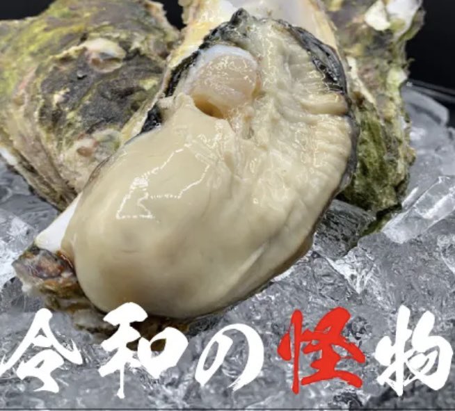 okinahonke's tweet photo. 🦪令和の怪物🦪入庫!!
牡蠣の養殖が盛んな岩手県大船渡地区で生産されるブランド真牡蠣です。ユニークなネーミングは同地区出身でかつてドラフトを賑わせた佐々木朗希投手にちなんで名付けられました。濃厚でクリーミーな甘みのある味わい 是非ご賞味ください
 #牡蠣  #成田 https://t.co/UXPAVR80s7