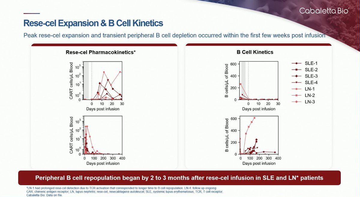 lupus_hub's tweet photo. CONGRESS | #EULAR2025 | PRESENTATION
Saira Sheikh, @UNC, presented results from the ongoing phase I/II RESET-SLE trial (NCT06121297) evaluating the safety and efficacy of rese-cel (resecabtagene autoleucel), a fully human, autologous 4-1BB, anti-CD19 CAR T-cell therapy, in non-renal #SLE and #lupus nephritis (N=8). As of June 2, 2025, rese-cel was well tolerated, with low grade CRS reported in 2 patients and ICANS in 1. DORIS was achieved in 3 of 4 patients with SLE, and the first patient with LN achieved CRR.

Follow our live feed for more updates: https://t.co/fJPOBGgKlP
#RheumTwitter #MedEd #MedicalCongress