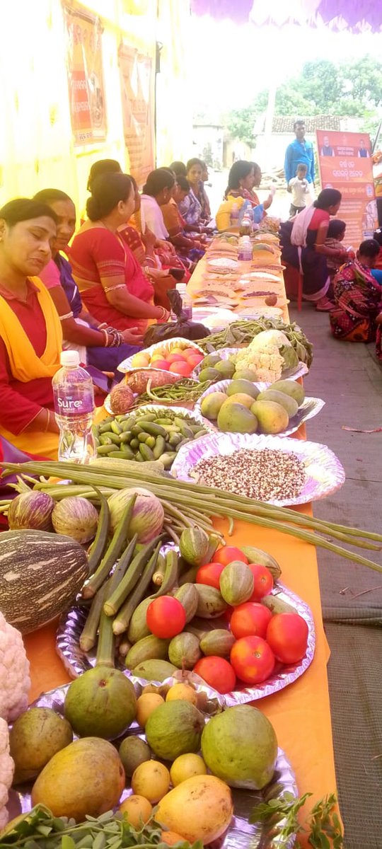Celebration of GP level ceremony of Bikaas Baahan Yatra at Naktiguda  GP after successfull completion of one year of Odisha Govt.#BarshaEkUpalabdhiAnek #SamruddhaOdisha #BIkashitaOdisha <a href="/PRDeptOdisha/">Panchayati Raj and Drinking Water Department</a>  <a href="/ZPKalahandi/">CDO-cum-EO, ZP, KALAHANDI</a> <a href="/DmKalahandi/">DM KALAHANDI</a> <a href="/IPR_Odisha/">I & PR Department, Odisha</a>