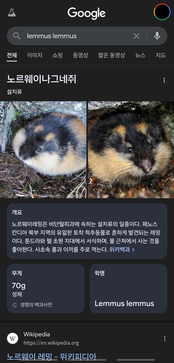 a1ienaaa's tweet photo. 아 진짜 이런게 존재했다고..? https://t.co/57aGMapE3j