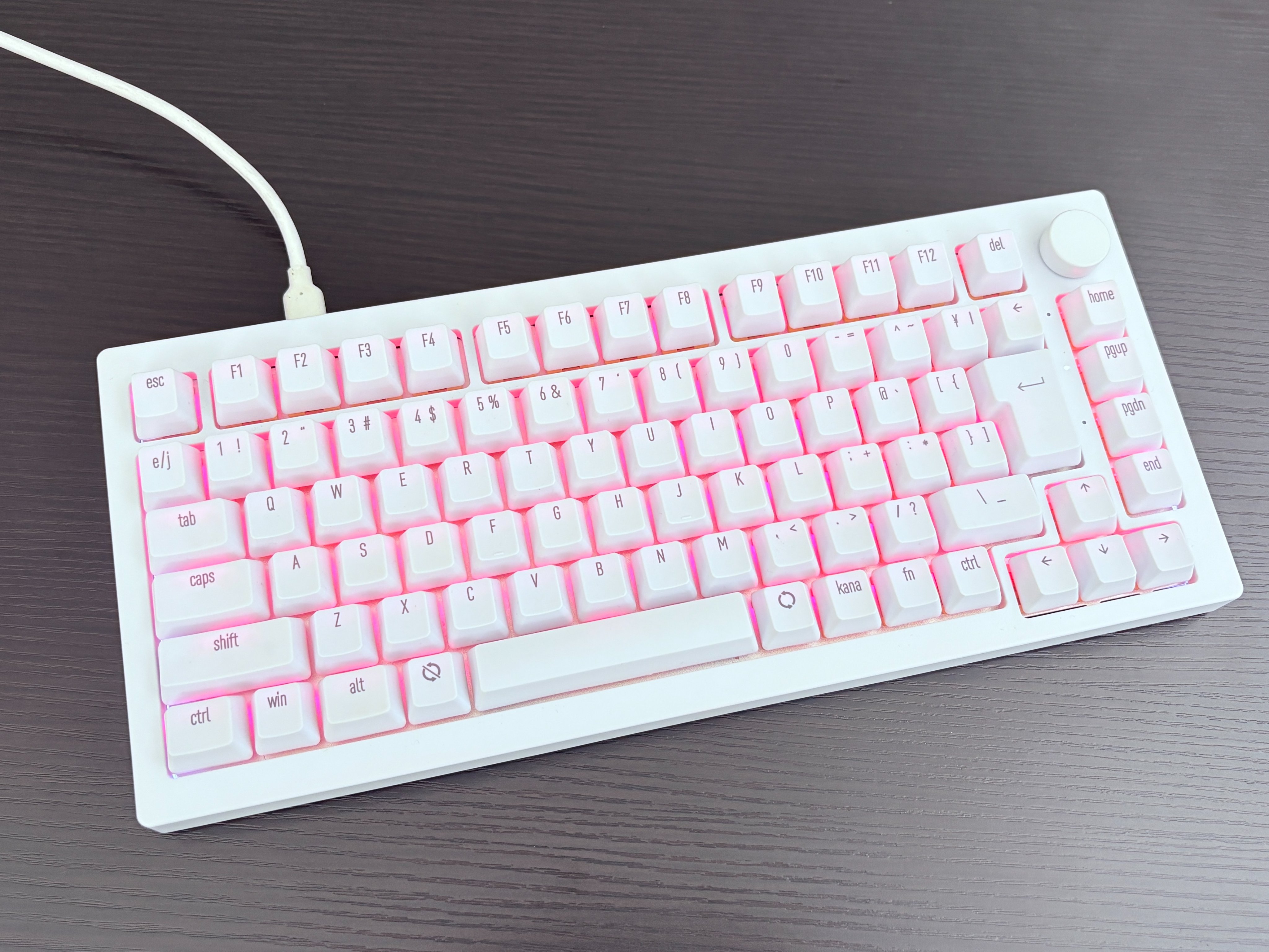 最新入荷商品一覧 | 📱キットカット💻【公式】 (@kitcut_live) / X 温室・飼育ケース