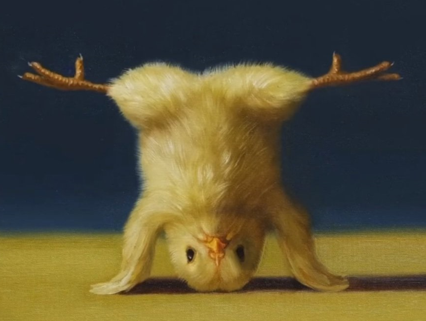 Kate Bosko tweet media