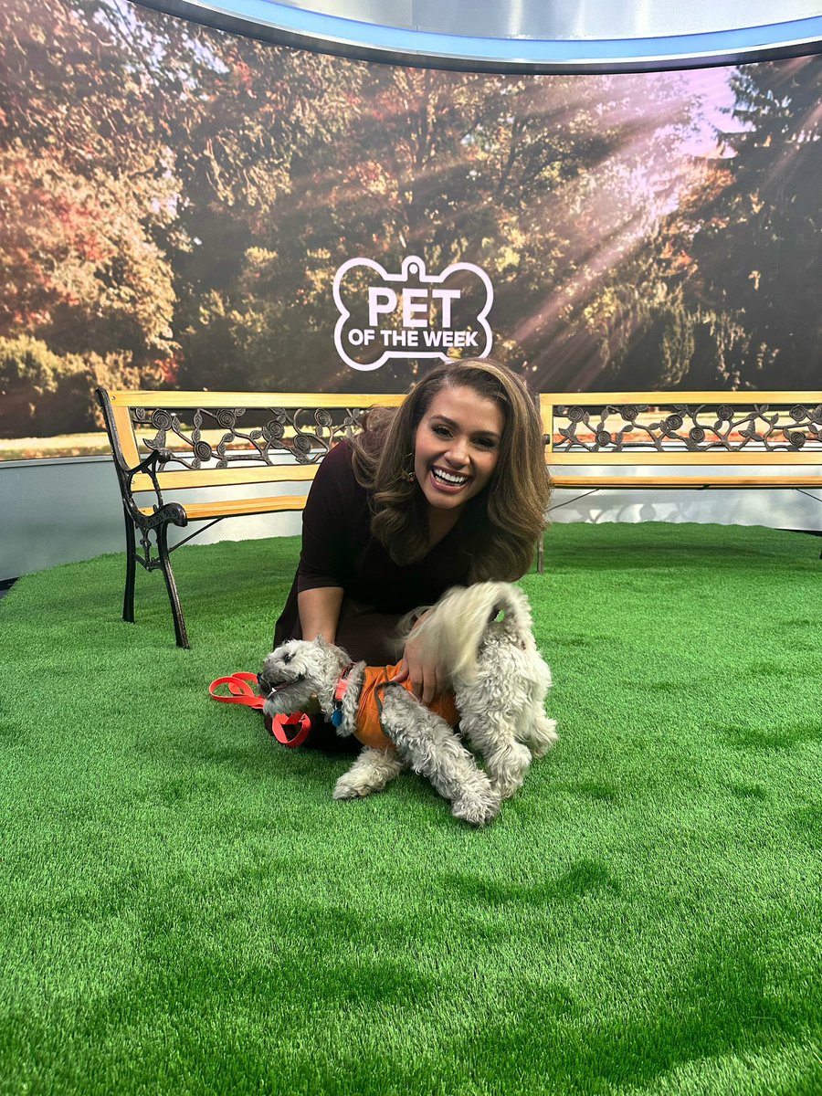 Just here to say that <a href="/AmySteigerwald/">Amy Steigerwald</a> has the coolest job ever! 🐶