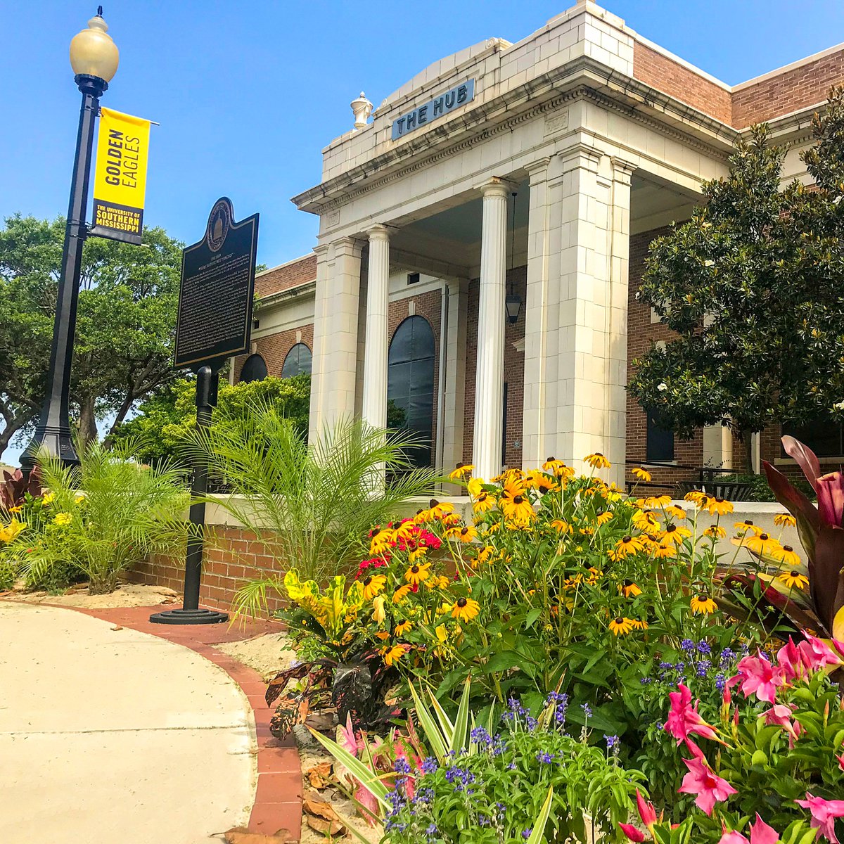 SouthernMiss's tweet image. A summer snapshot