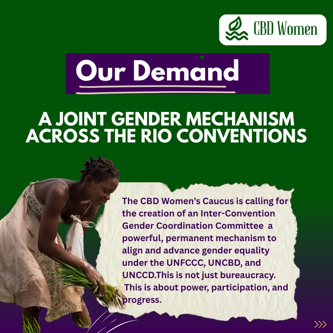 cbd_wc's tweet image. With #SB62 underway, the #CBDWomensCaucus calls for urgent, coordinated gender action across the #RioConventions.🌍
GAPs remain fragmented & underfunded. We urge:
🔹 Aligned goals
🔹 Dedicated funding
🔹 Ongoing exchange & accountability
🔗 Read more: shorturl.at/Bl8dj