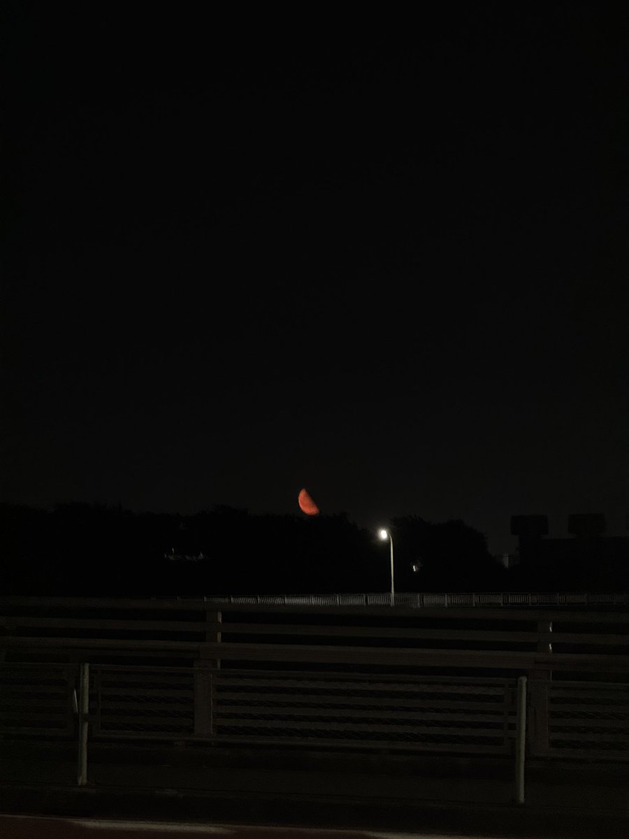 is the world about to end what the fuck is going on