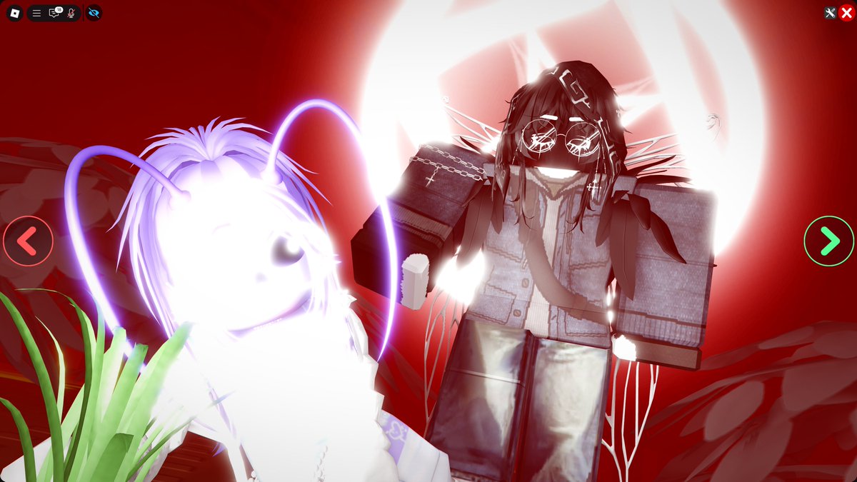 Evanbear1 tweet media