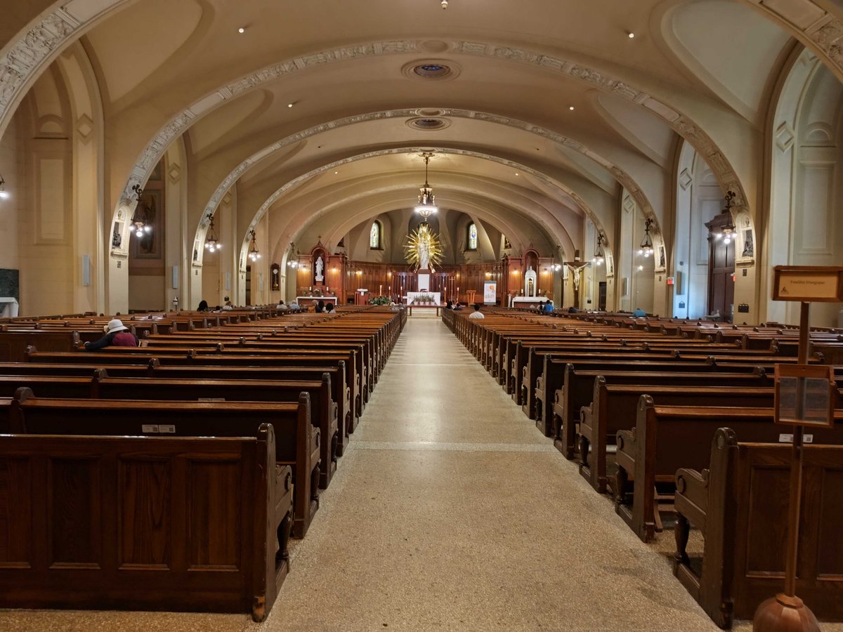 🎻Un concert magistral pour 40 $ seulement !
📅Samedi 5 juillet à 19h

Venez découvrir notre concert Les Grands Classiques, sous la direction de Jean-Marie Zeitouni, dans la crypte de l’<a href="/osjmr/">L'Oratoire Saint-Joseph</a>. Au programme : Bach, Mozart, Skoryk et Tchaïkovski.

Billets : orchestre.tuxedobillet.com/main/journee-c…