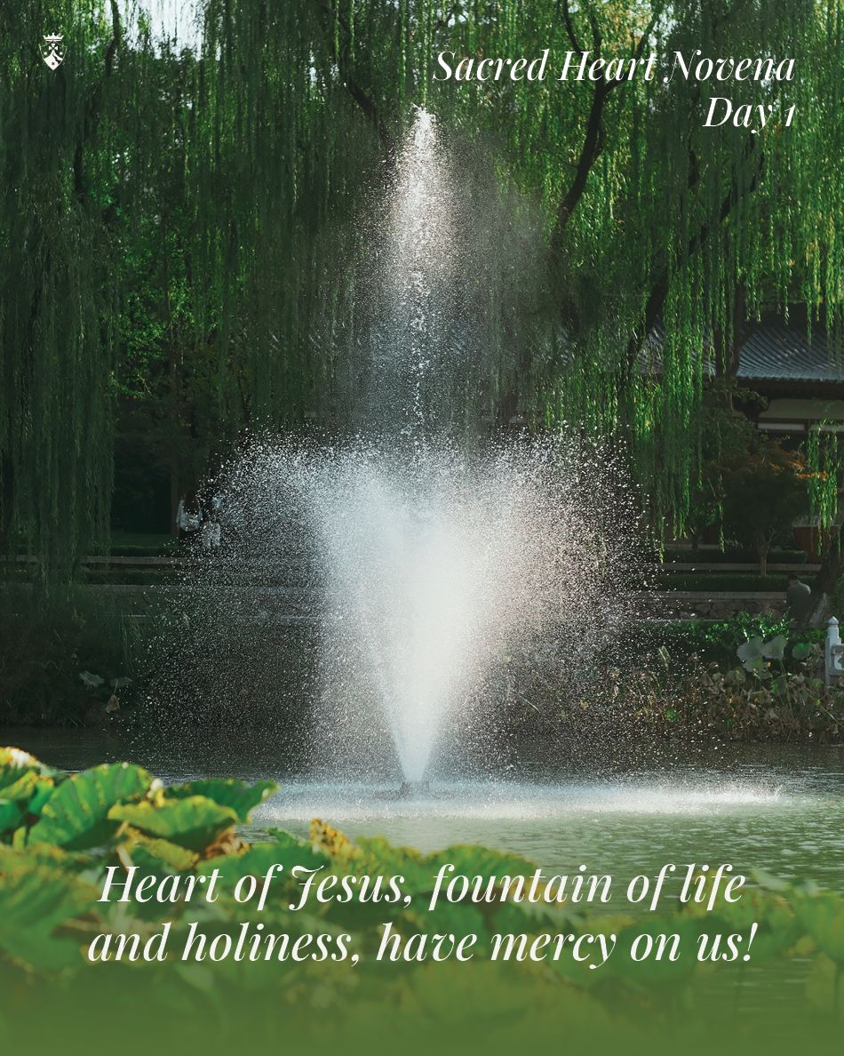 CarmelitesOCD's tweet image. Join us as we begin the Novena to the #SacredHeart. His love is a fountain of life and holiness that never runs low. 

Heart of Jesus, fountain of life and holiness, have mercy on us!

Find the daily novena prayer and more resources on our website -
buff.ly/8I1JER6
