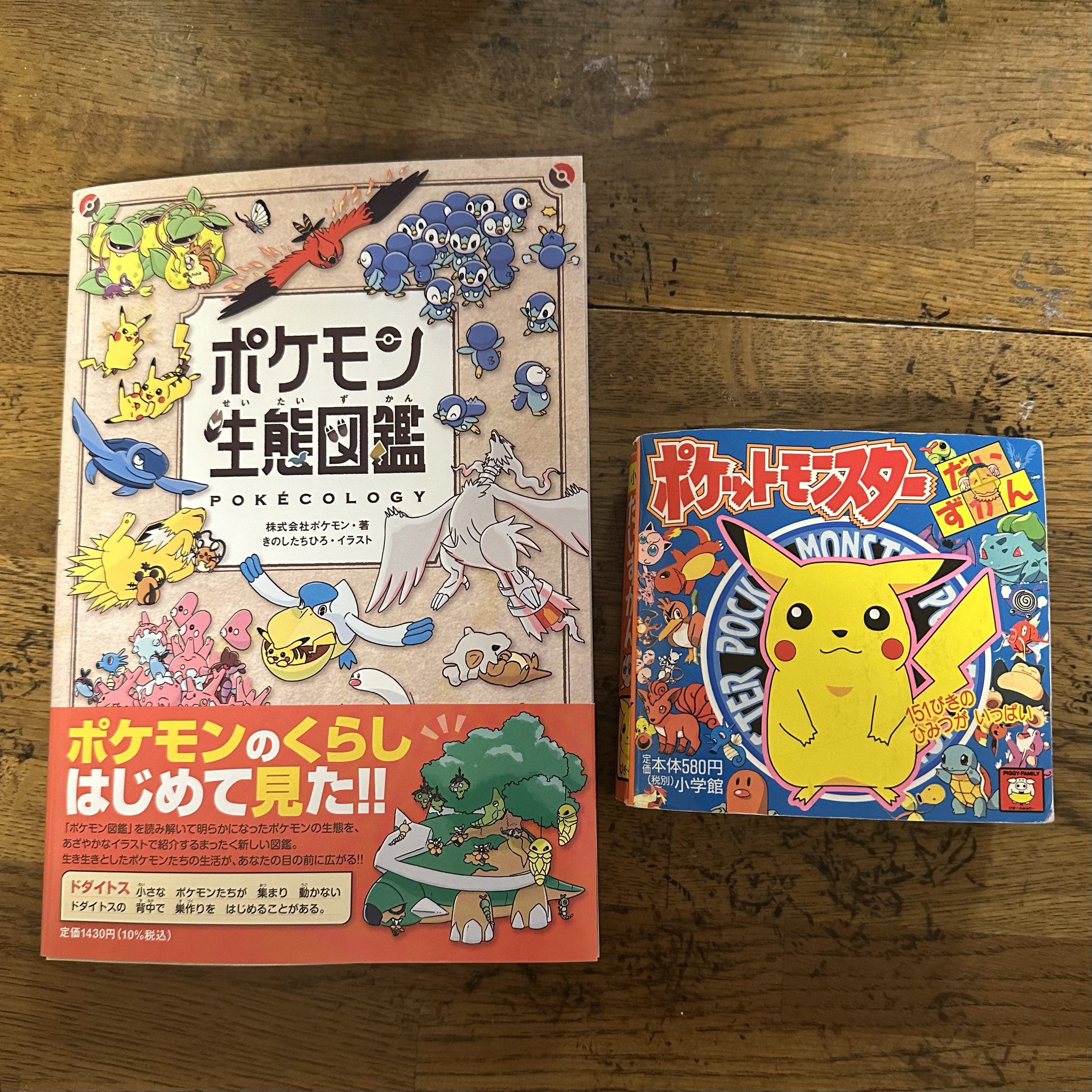 立体ポケモン図鑑 きゅうり様リクエスト 立体ポケモン図鑑 きゅうり様リクエスト