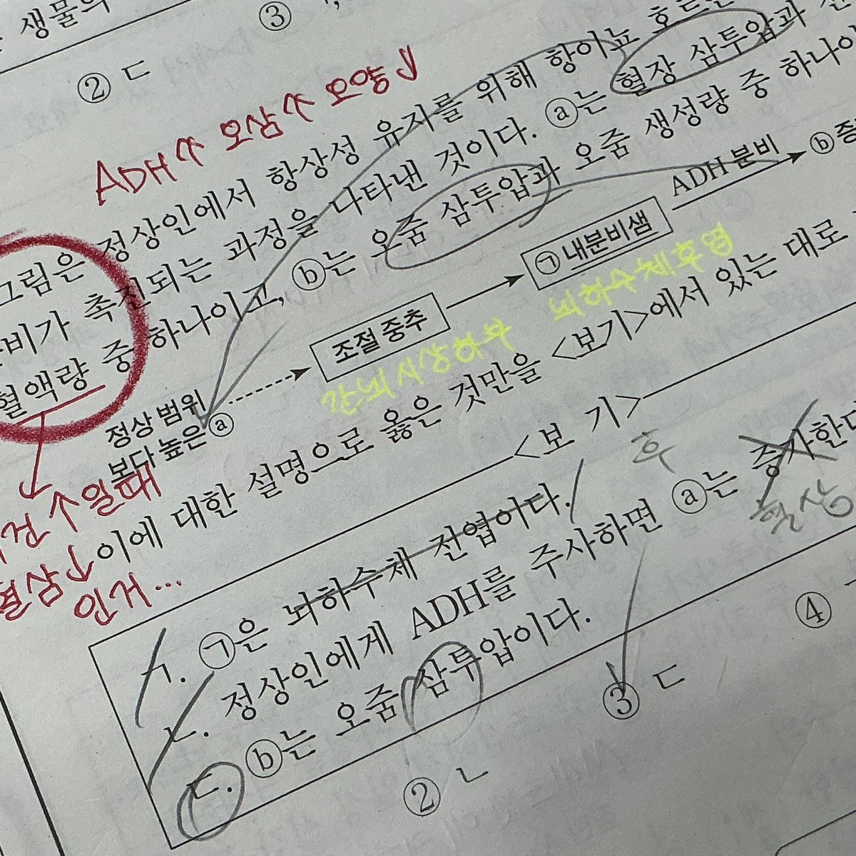 알트코인구매[구글도배,구글찌라시 텔 𝑮𝑺𝑬𝑶8]텔레그램OTC.jyo