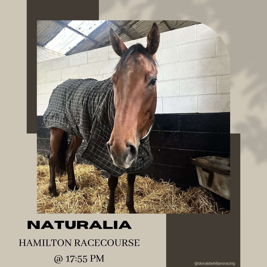 🏁Race Day🏁

We are off to <a href="/HamiltonParkRC/">Hamilton Park</a> today!🐴

⏰ 17:55
🐎 NATURALIA
⚡️ <a href="/Shayfarmer123/">Shay</a> in  the saddle 
🔑 for The Old Firm

🤞🏼Good Luck Team🤞🏼