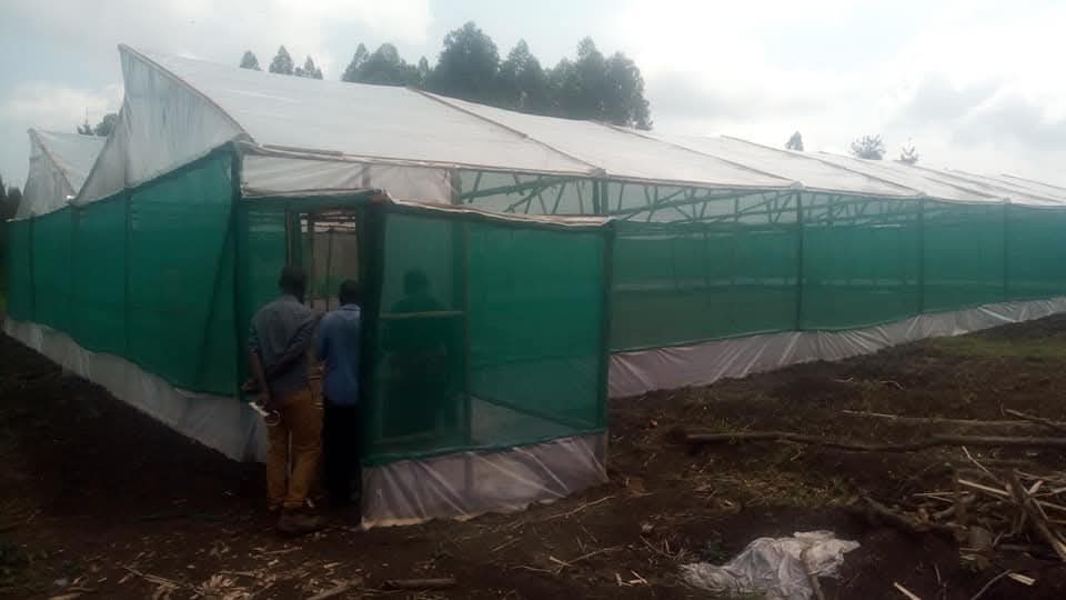 Sustainable climate vegetable farming solutions for small holder farmers #productivity, #climate change #Smallholder farmers <a href="/BusitemaUni/">Busitema University</a> <a href="/MAAIF_Uganda/">MAAIF 🇺🇬</a> <a href="/IFAD/">International Fund for Agricultural Development</a> @