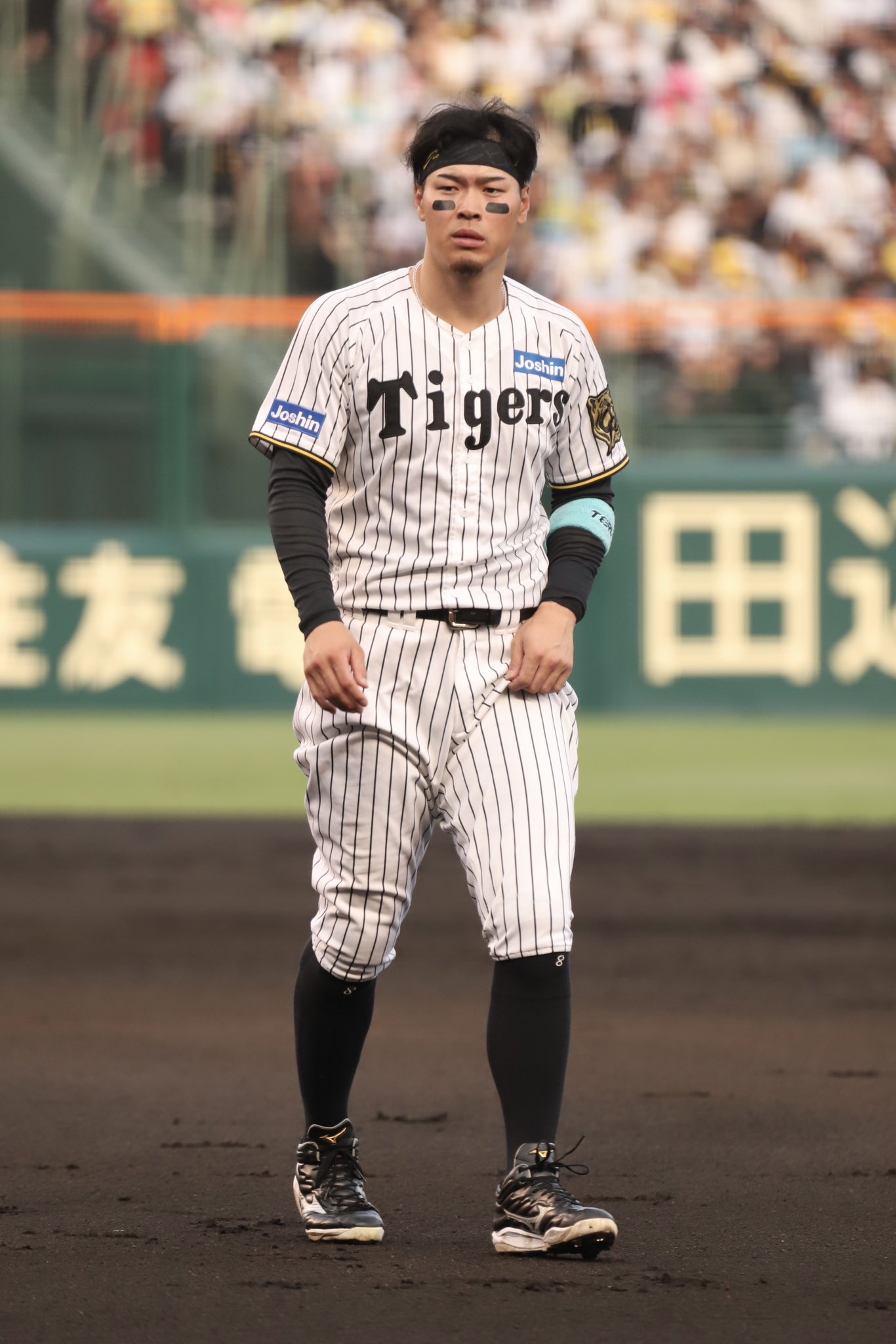 【佐藤】 🥒🥦kazumi.k38 on X: 