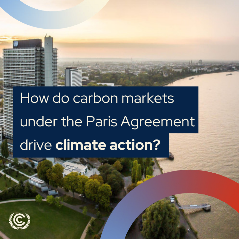 UNFCCC's tweet photo. 7 months on from COP29 - where countries agreed strong standards for a UN carbon market - work to operationalize Article 6 of the Paris Agreement continues.

But why do carbon markets matter for climate action?
 
Find out. 👇

#JuneClimateMeetings