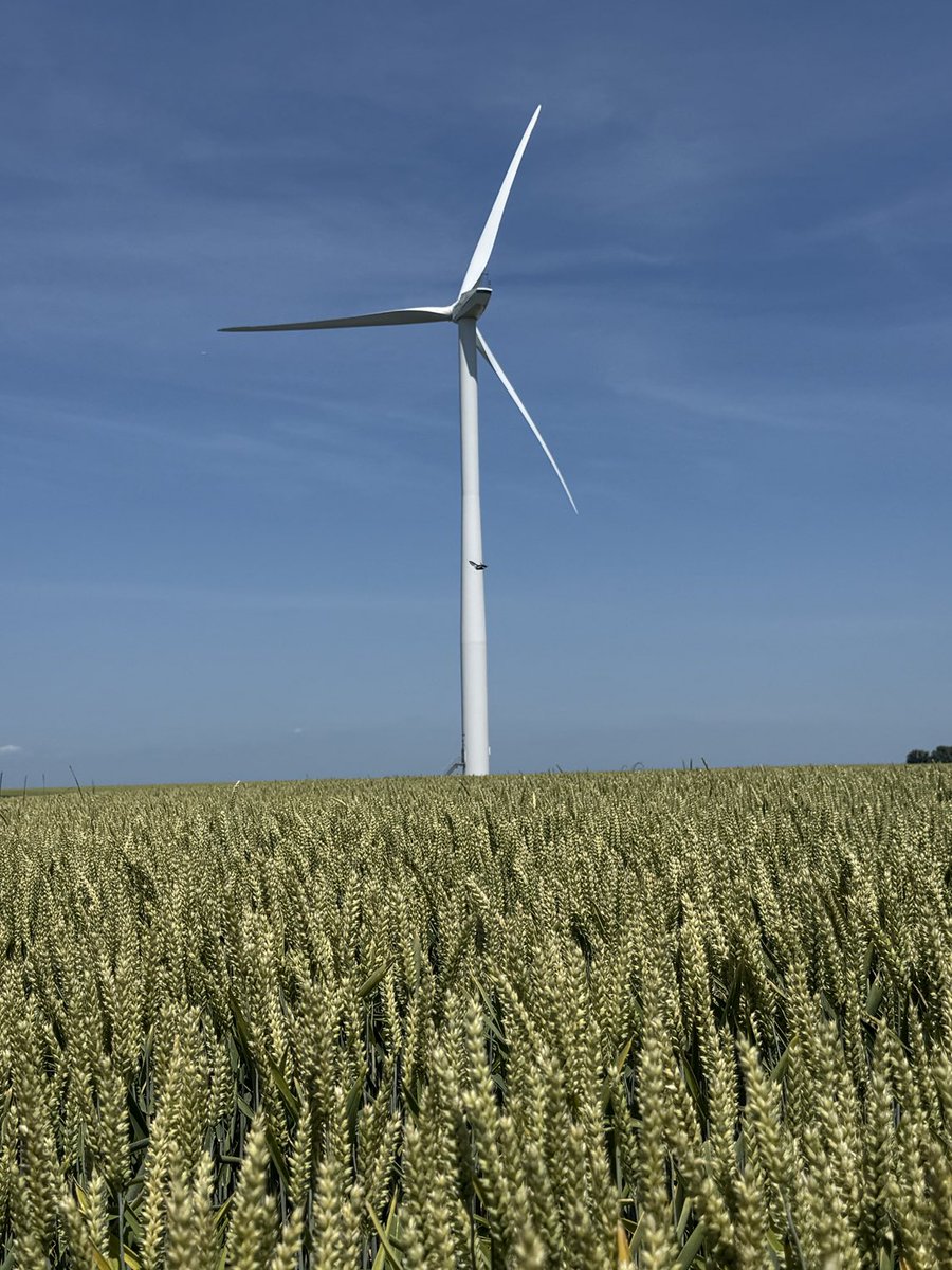 THDGrainoble's tweet image. « Tout commence par la #semence » Vue du champ - Les rendez-vous ⁦@Arvalisofficiel⁩ #Ecardenville_Bray Pour faire du blé 💶 il faut toujours un bon précédent #LinSem ⁦@flaxlinenhemp⁩ ⁦@BleuBlancCoeur⁩ Les éoliennes à l’arrêt &amp;amp; 25 degrés ⁦@RegionNormandie⁩