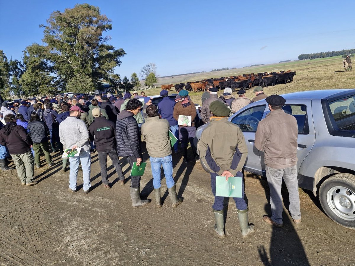🌿🐄 Hoy estamos presentes en la Jornada de análisis de resultados de ganadería y agricultura, en la Estancia Don Bautista (Flores), organizada por <a href="/FUCREA/">CREA Uruguay</a>.

👉🏼 En esta instancia, se presentan resultados de trabajo en diferentes establecimientos.