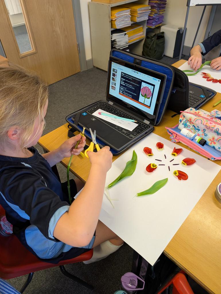 West Ashtead Primary (@westashtead) on Twitter photo Puffins thoroughly enjoyed learning about the parts of a flower in Science and dissecting a tulip this afternoon! #WeAreLEO
<a href="/LEOacademies/">LEO Academy Trust</a> Puffins thoroughly enjoyed learning about the parts of a flower in Science and dissecting a tulip this afternoon! #WeAreLEO
<a href="/LEOacademies/">LEO Academy Trust</a>