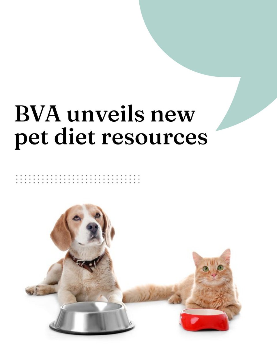 BVA unveils new pet diet resources

 vettimes.com/news/vet-nursi…