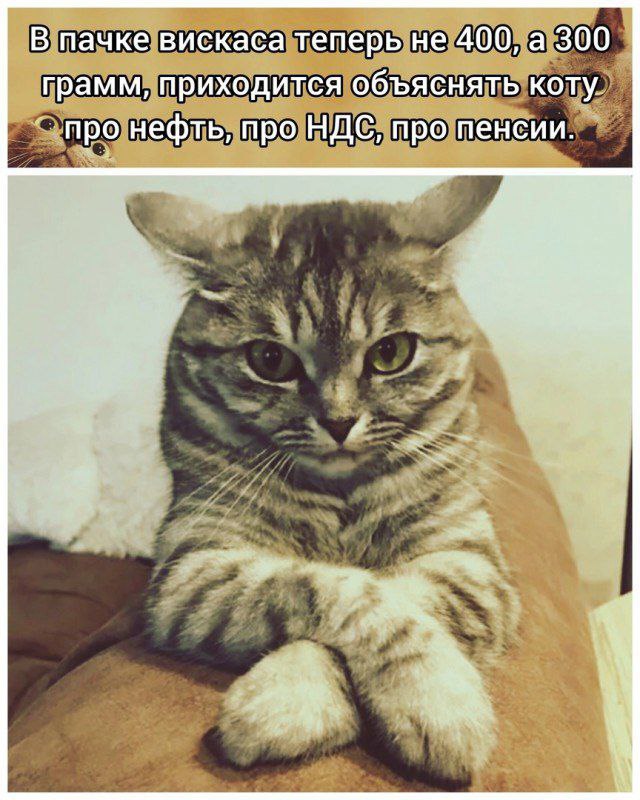 Пьяный Твиттер (@drunktwi) on Twitter photo 