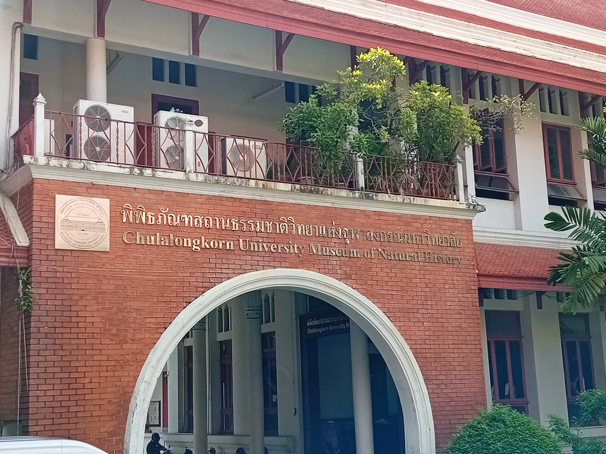 Wherever you go in the World, you will always feel at home in a museum #Thailand #taphonomy #palaeontology #Bangkok