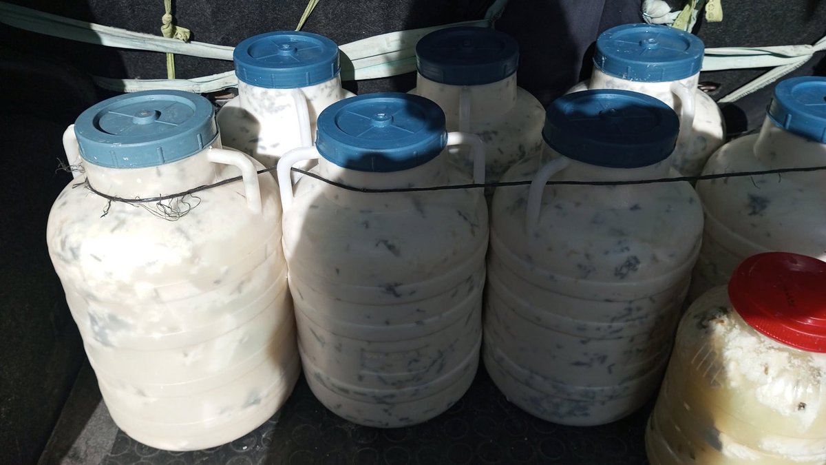 kilosu 550 tl olunca zırhlı araçla götürüp getiriyoz mecbur