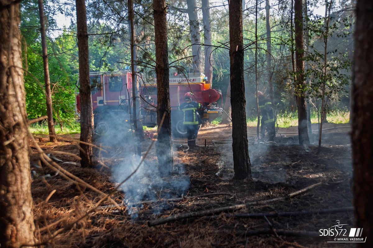 Mercredi 11 juin à 18h, les sapeurs-pompiers sont intervenus pour deux départs de feu de sous-bois à Ruaudin.

👨‍🚒 Moyens engagés :
• 2 CCF (Camion-Citerne Feux de Forêts)
• 1 véhicule de chef de groupe
• 10 sapeurs-pompiers mobilisés

👏 Merci à nos équipes