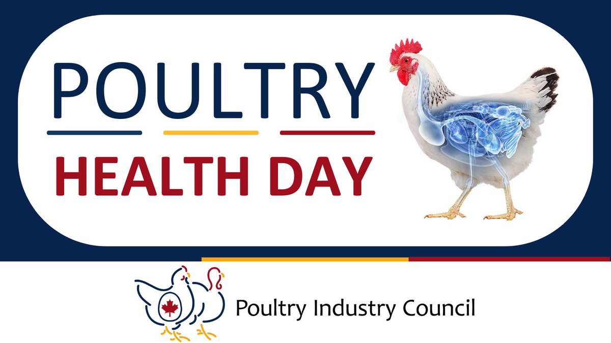Every seat filled, every table set.

Great to see Poultry Health Day sell out - clearly, the topic of endemic disease hit home for animal health pros, vets and producers across Ontario.

#PICevents #PoultryIndustry #PoultryHealth