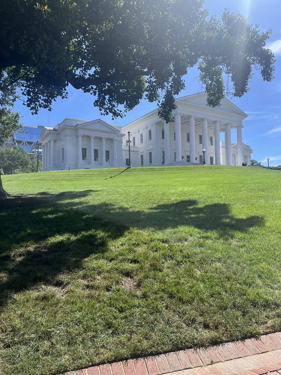 Lizard time looks a little different these days