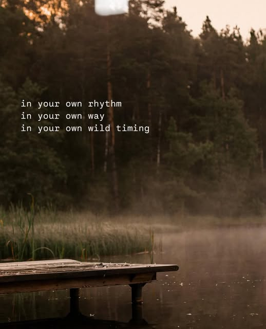 fieldofmiracles's tweet photo. Photo by ... Iris Verbaas 🦋 https://t.co/SaTKAOltzl