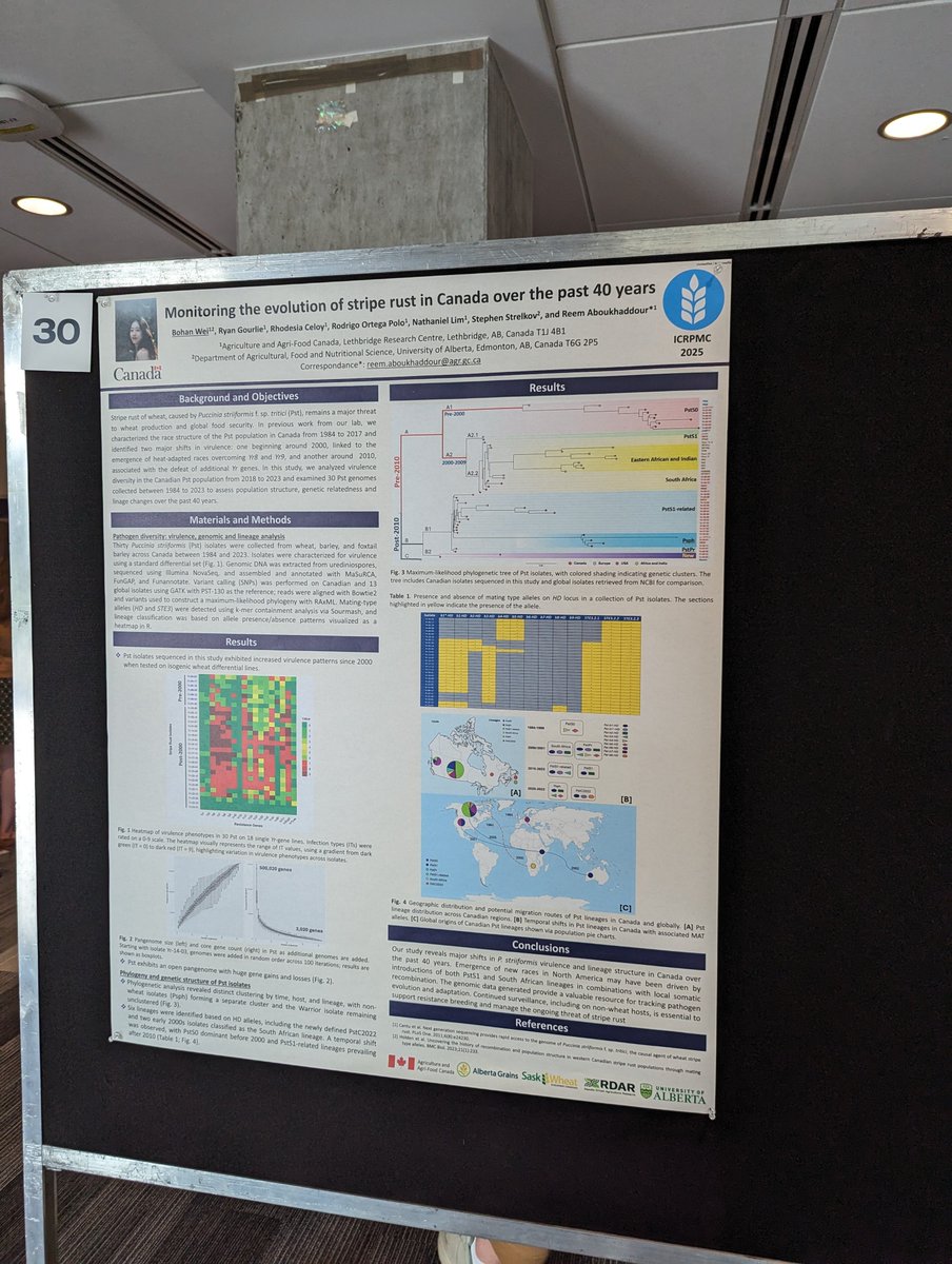 ReemWheat's tweet photo. The fight against rust- decoding over 40 years of stripe rust in Canada and the finding of new lineages as summarized by Bohan Wei the PhD student @AAFC_Canada  Lethbridge rust lab. #ICRPMC2025 @AlbertaGrains @RDARAlberta @SaskWheat https://t.co/5YX8FG0mAW
