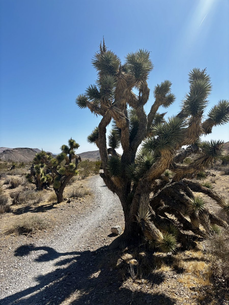 Some days are best spent outdoors ❤️❤️❤️