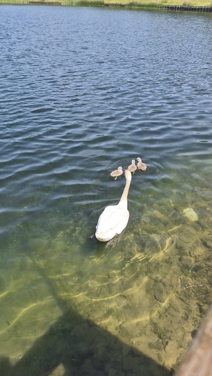 Visit Leicester tweet media