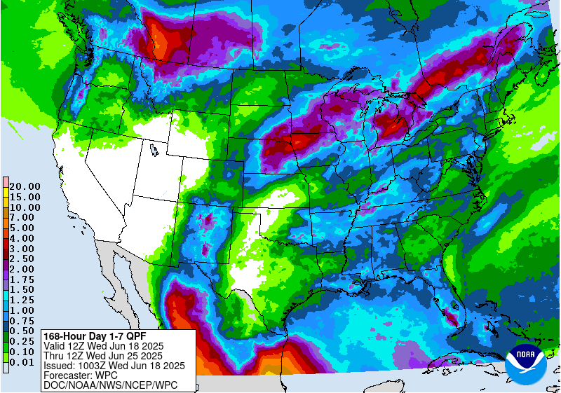 Jim McCormick tweet media
