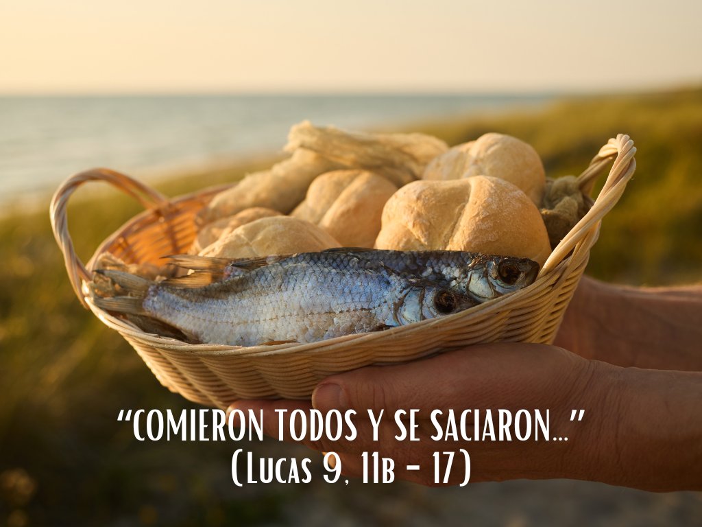 Compañía de Jesús (@jesuitasesp) on Twitter photo Y Jesús les dice: dadme lo que tenéis y no os preocupéis de más. Transforma el pan en eucaristía y la escasez en abundancia. “Dadles vosotros de comer”. Jesús no les pide ni a ellos ni a nosotros el milagro, eso es cosa suya. Lo que nos pide es la entrega. Sí: la entrega de lo Y Jesús les dice: dadme lo que tenéis y no os preocupéis de más. Transforma el pan en eucaristía y la escasez en abundancia. “Dadles vosotros de comer”. Jesús no les pide ni a ellos ni a nosotros el milagro, eso es cosa suya. Lo que nos pide es la entrega. Sí: la entrega de lo