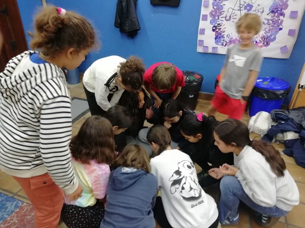 🤩¿Quieres que tu escuela participe en el proyecto Emazu eskua en 2025?

🚌Incluye la financiación del viaje en autobús.
📲Ponte en contacto con nosotras lo antes posible!

Noticia: ehige.eus/es/participa-e…