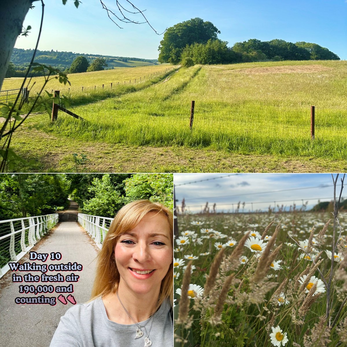 Tower Leasing Ltd tweet media