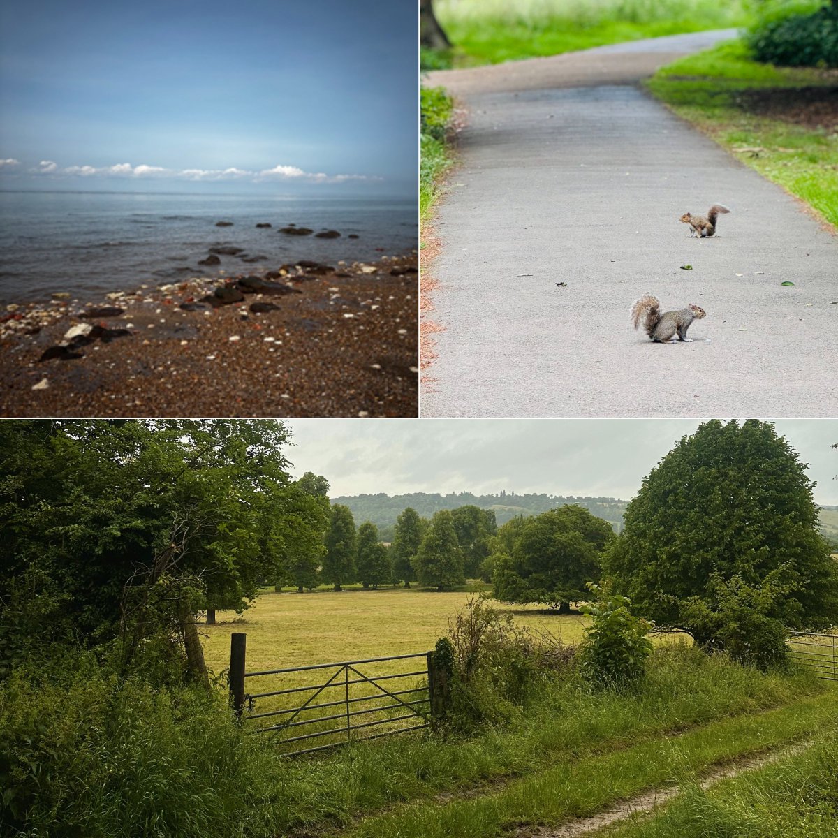 Tower Leasing Ltd tweet media