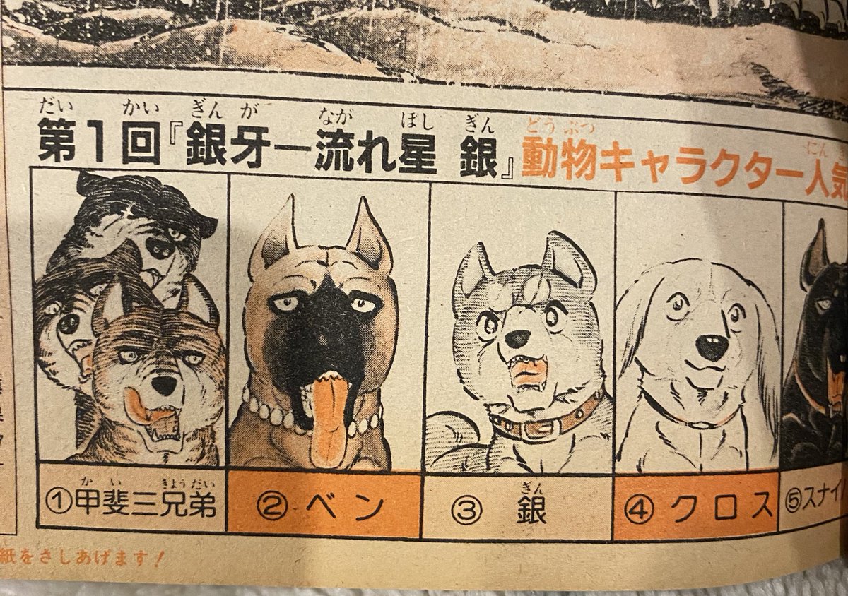 一位 甲斐三兄弟 二位 ベン 三位 銀 四位 クロス 五位 スナイパー 六位