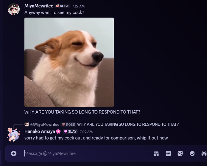 Me and <a href="/MiyaMewrilee/">Miya Mewrilee 🌹 Sonic Arc</a> having our very regular morning conversation, this is normal, chat 😂
