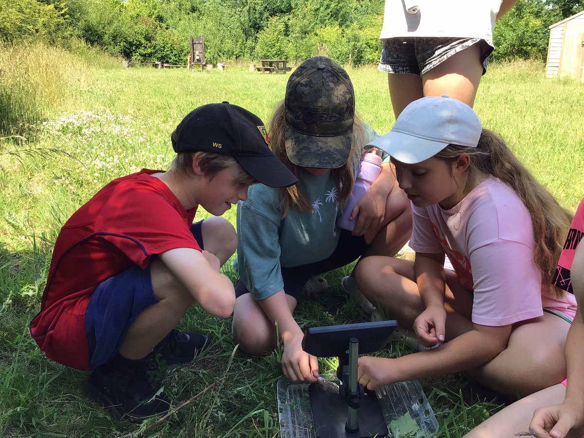 Year 6 had a fantastic Forest School session at Warner Woods! 🌳☀️ They explored nature, spotted animal tracks, and used a microscope to examine their discoveries. A brilliant day of curiosity, learning, and fresh air! 🔍🍃 #OutdoorLearning <a href="/MyForestSchool/">ForestSchoolLearningInitiative</a> <a href="/LEAF_Education/">LEAF Education</a>
