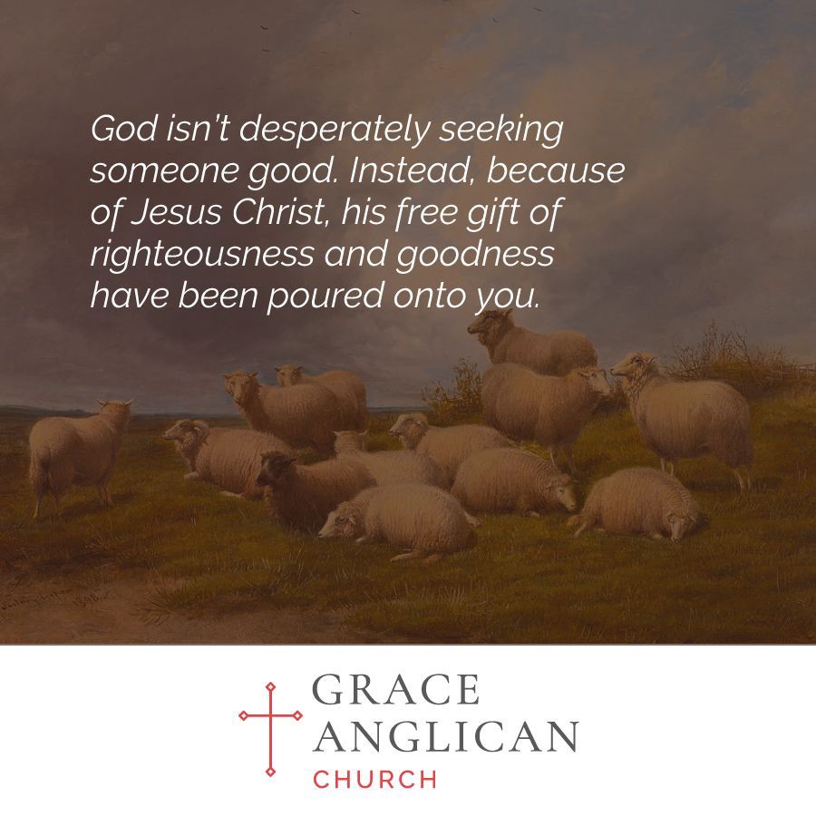 Grace Anglican Louisville (@graceanglou) on Twitter photo 